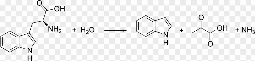 Science Chemistry Chemical Synthesis Organic Peptide Indole PNG