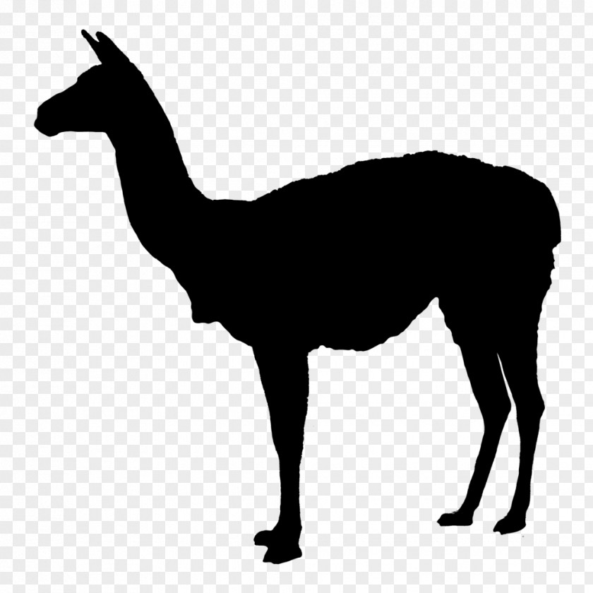 Back Silhouette Llama Deer Clip Art PNG