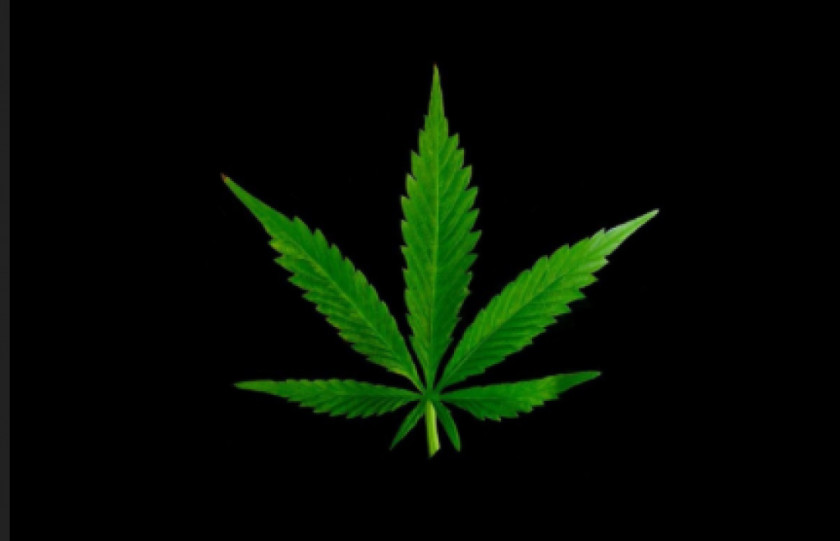 Cannabis High-definition Television Desktop Wallpaper Video Leaf PNG