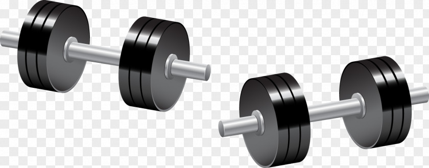 Dumbbell Weight Training Barbell Bodybuilding PNG