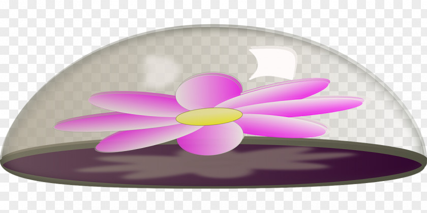 Glass Flower Petal Paper PNG