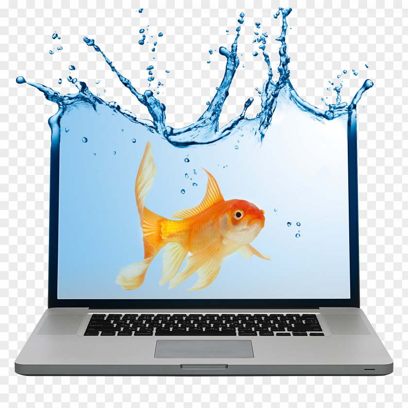 Laptop And Goldfish Advertising Notebook Business Marketing PNG