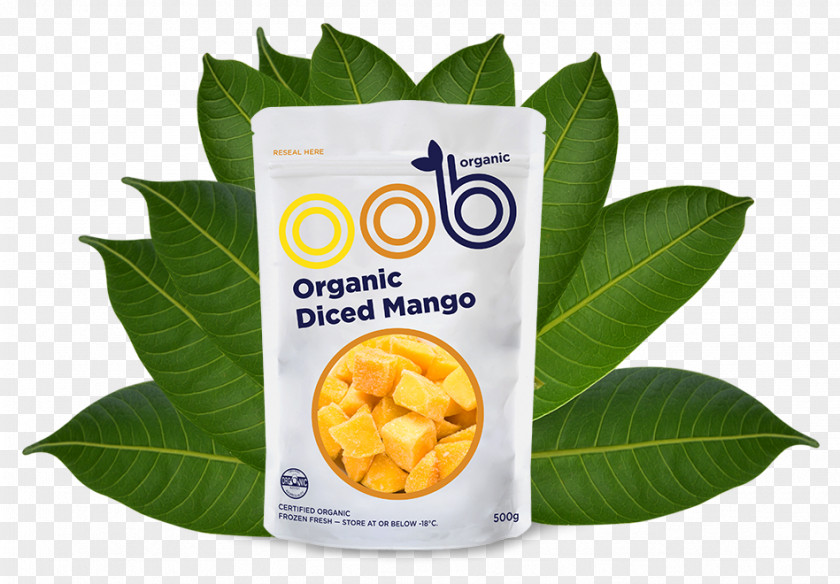 Mango Leaves Organic Food Fruit Recipe PNG