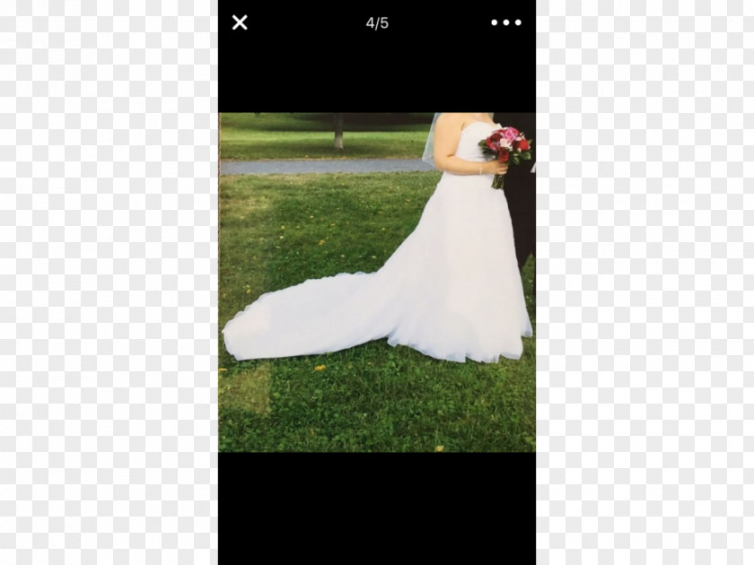 Wedding Stage Dress Gown PNG