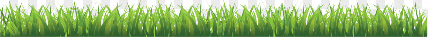 Grass Lawn Garden Clip Art PNG