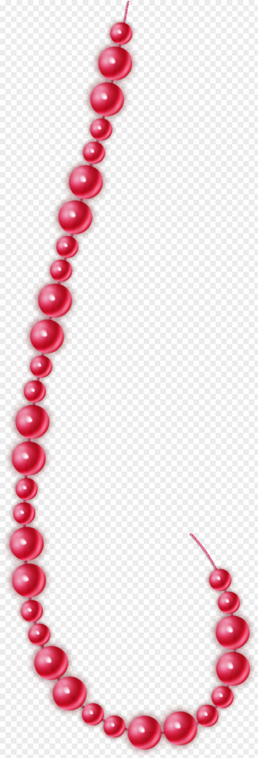 Necklace Pearl Bitxi Bead Clip Art PNG