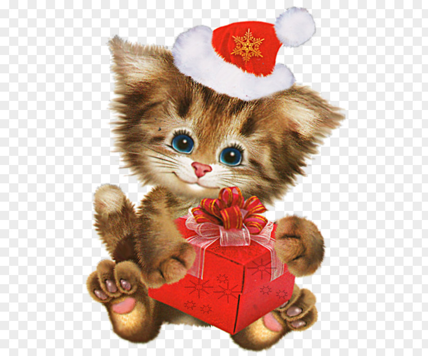 Christmas Pets Day Image Clip Art Holiday PNG