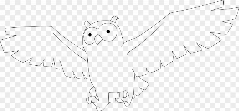 Clay Bird Drawing Owl Line Art Sketch PNG