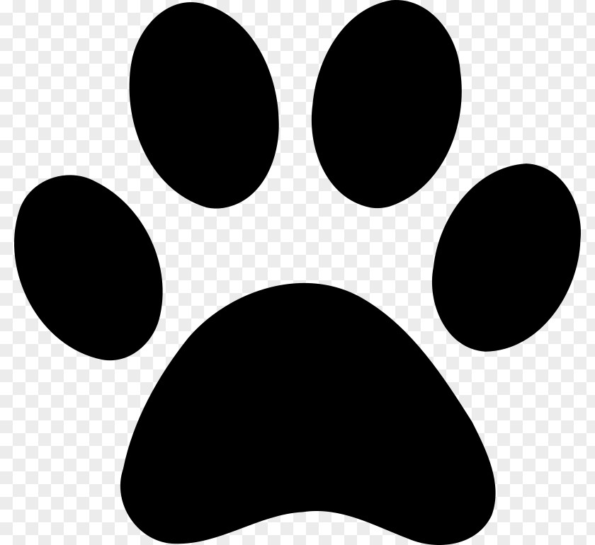 Paws Dog Paw Printing Clip Art PNG
