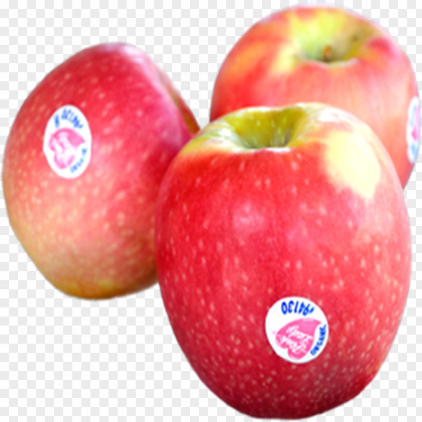 Seasonal Vegetables Cripps Pink Apple Fruit Pearl Gala PNG