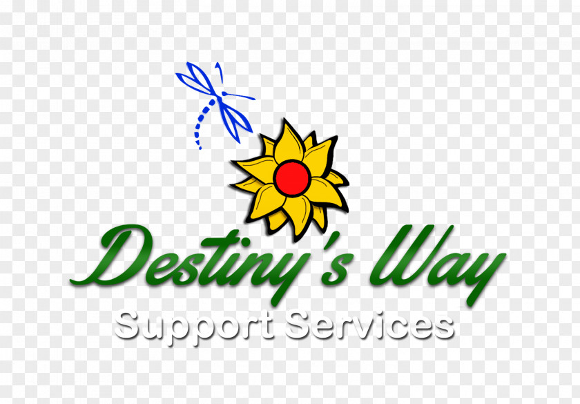 Special Offer 50% Destiny's Way Photography Client Portal The New Jedi Order PNG