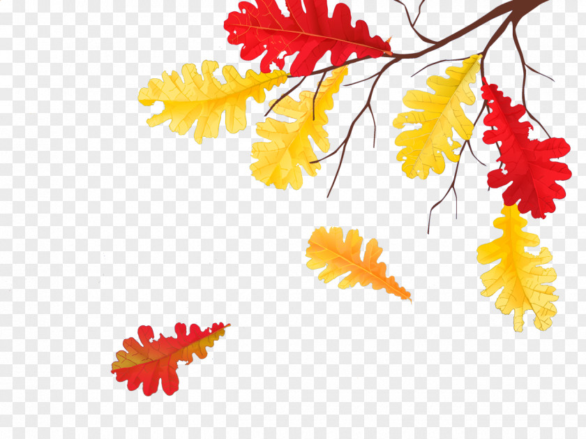 Www Fall Clip Art Image Illustration Autumn PNG