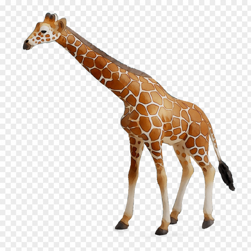 CollectA Action & Toy Figures Reticulated Giraffe Jungle Animal PNG
