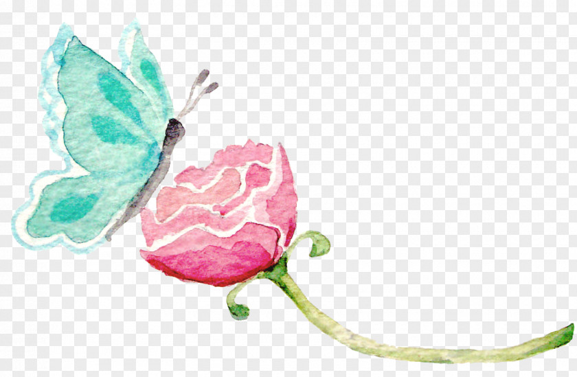 Watercolor Butterfly Green Blue PNG