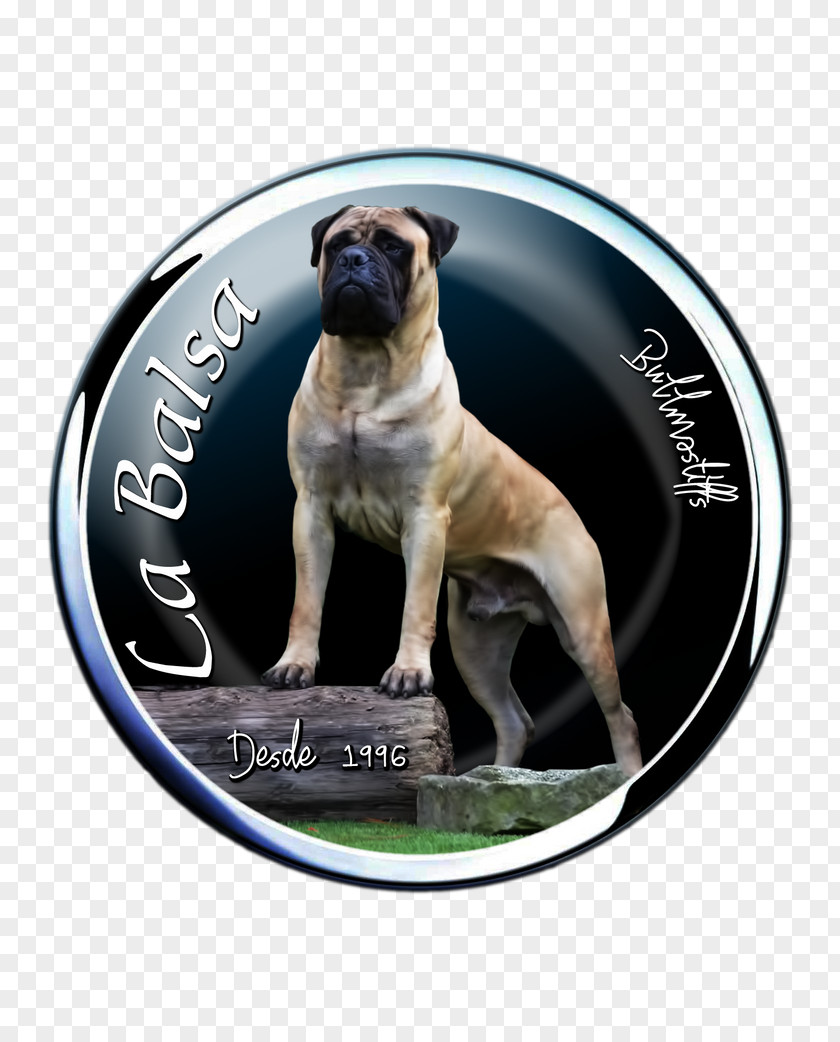 Bullmastiff Dog Breed Pug Boerboel Snout PNG