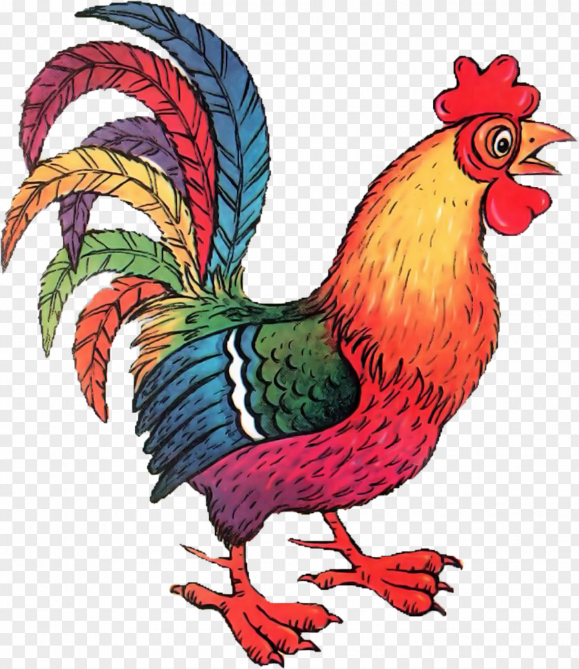 Chicken Rooster Poultry Clip Art PNG
