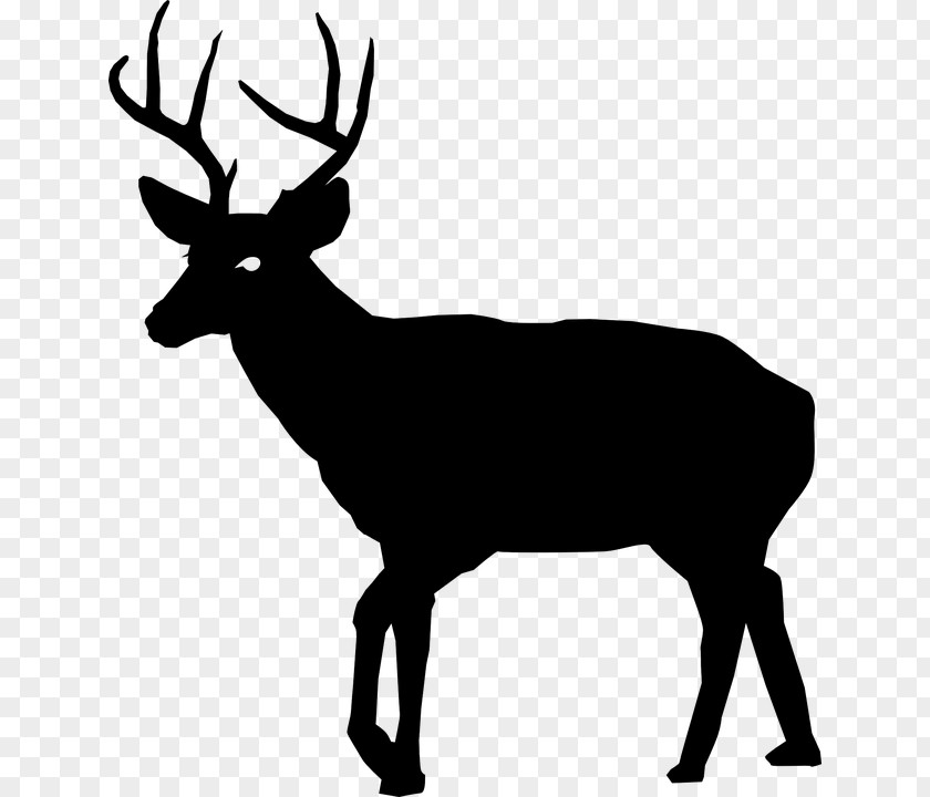 Deer White-tailed Hunting Clip Art PNG