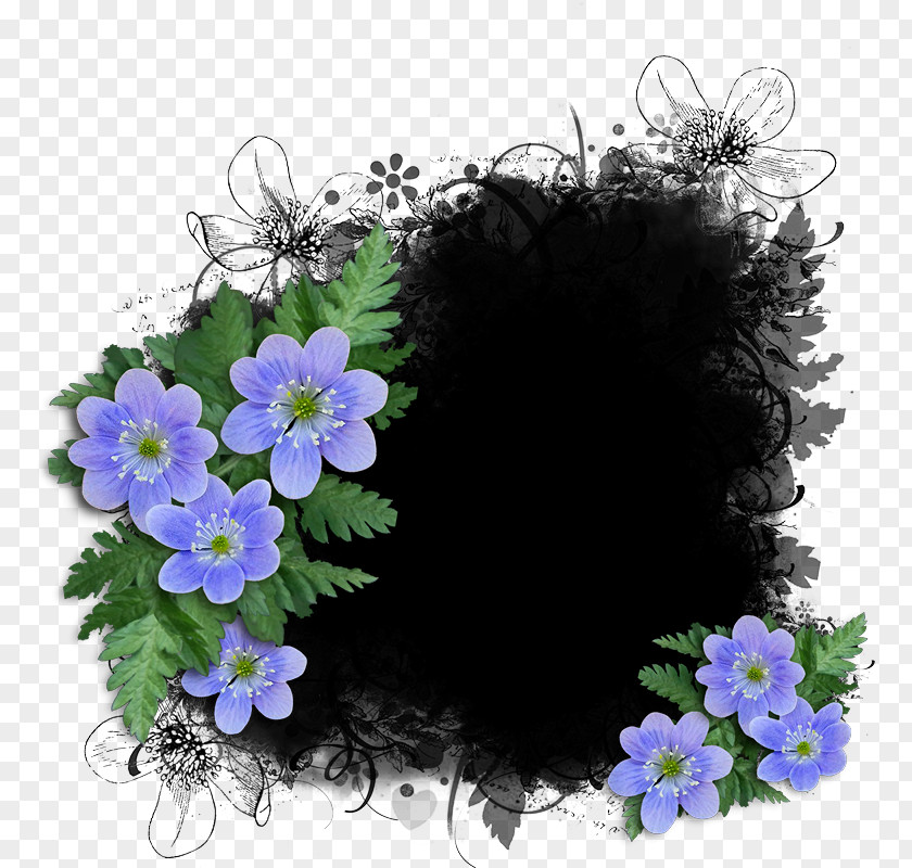 Imgur Flower PNG