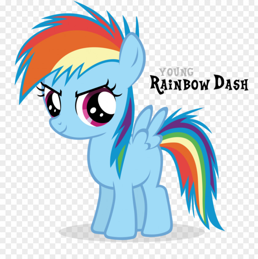 Rainbow Dash Pony Fluttershy Rarity Filly PNG
