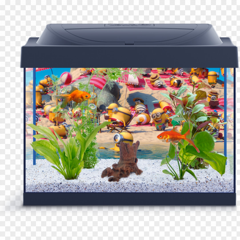 Aquarium Aquariums Tetra Fishkeeping Heater PNG