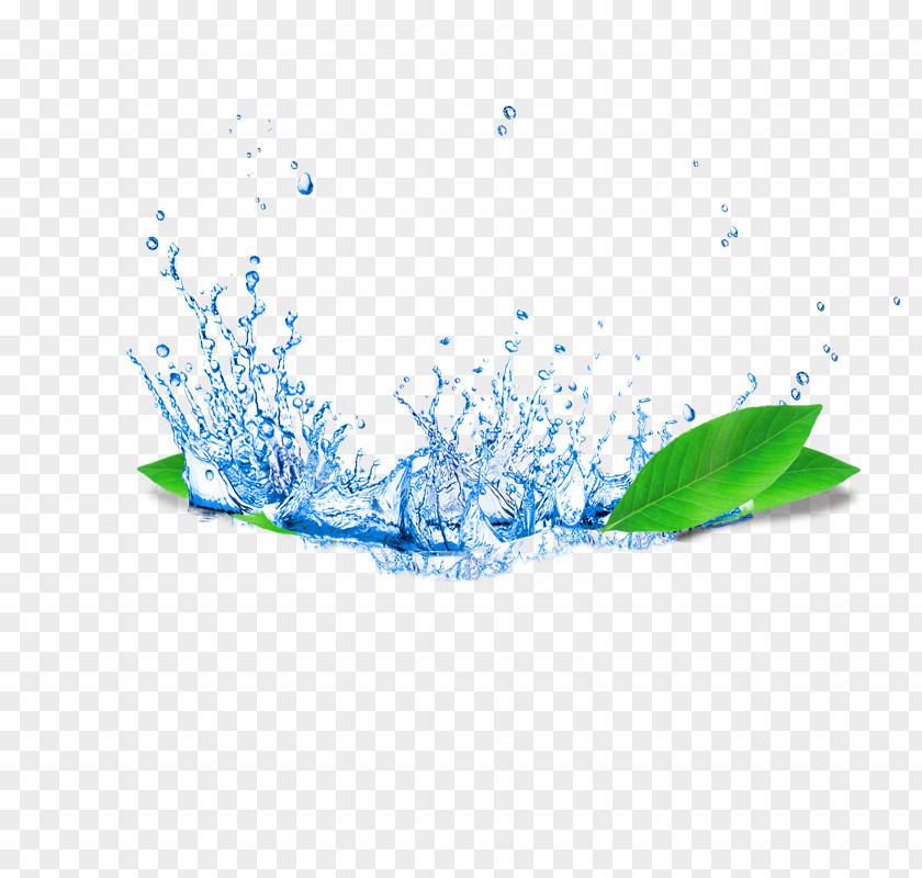 Blue Water Splashing Leaves Effect Elements PNG water splashing leaves effect elements clipart PNG