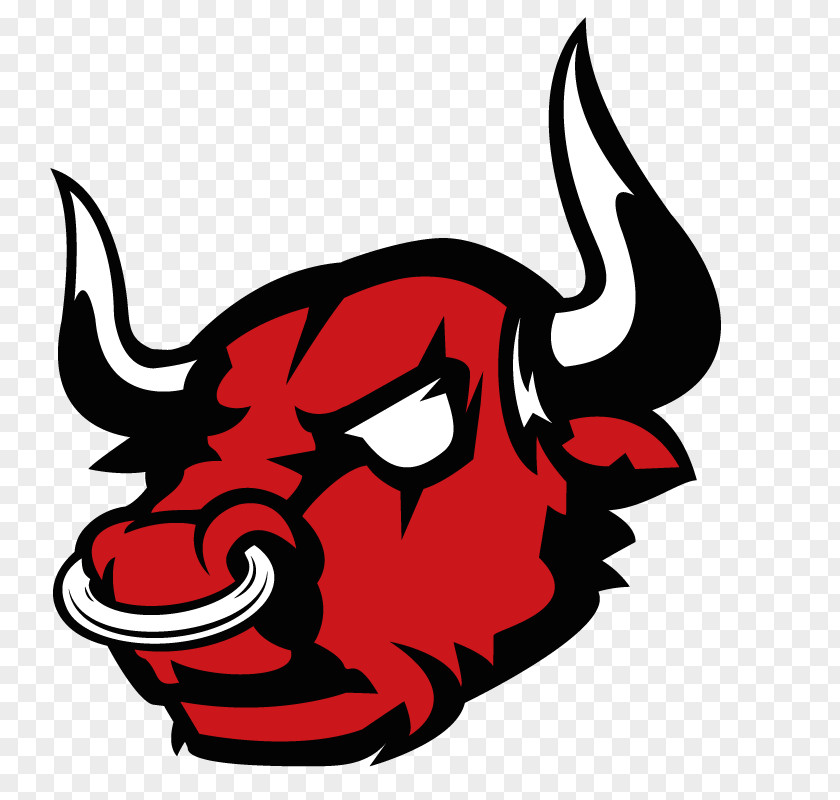 Bull Barletta Chicago Bulls Chiefs Ravenna Rome Gladiators American Football PNG