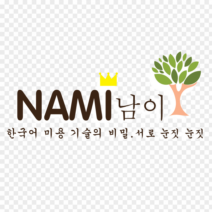 Nami Logo Brand Product Design Font PNG