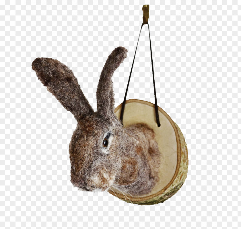 Rabbit Domestic Felt Hare European PNG