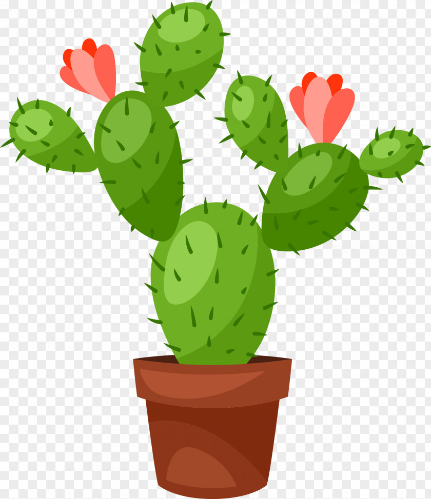 Bonsai Cactus Vector Graphics Royalty-free Illustration Flowerpot PNG