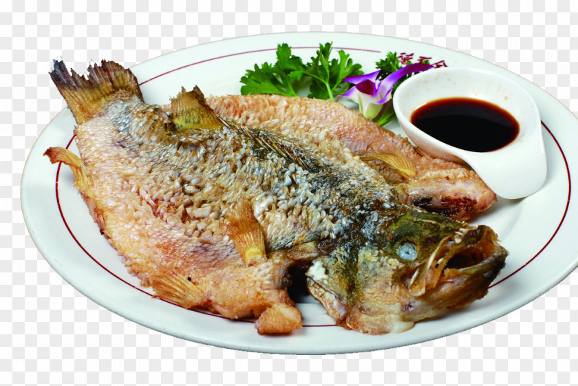 Crisp Bass Scales Fried Fish Scale PNG