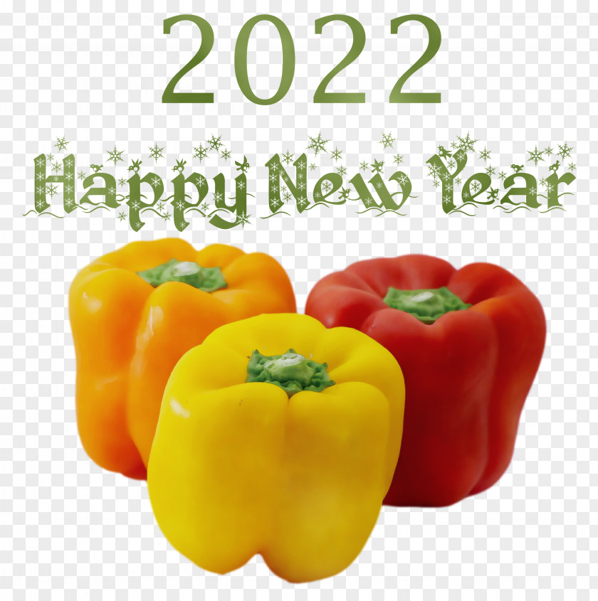 Happy New Year Banner PNG
