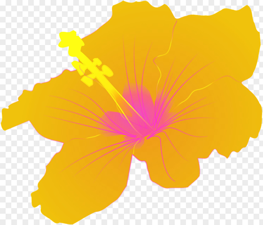 Hawaiian Hibiscus Shoeblackplant Clip Art PNG