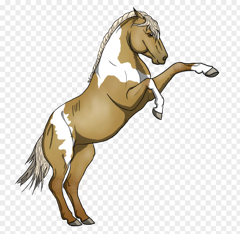 Mustang Mane Stallion Colt Donkey PNG