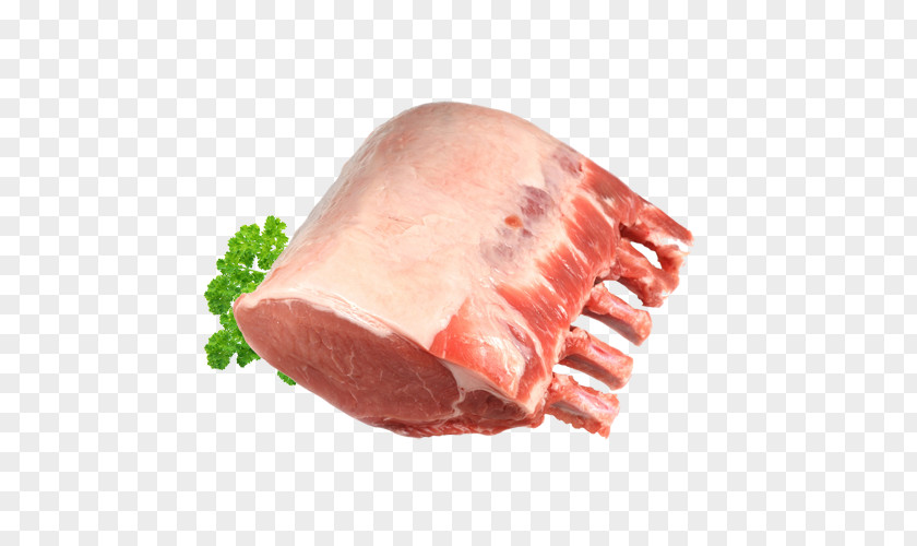 Ribs Ham Barbecue Pork Meat PNG