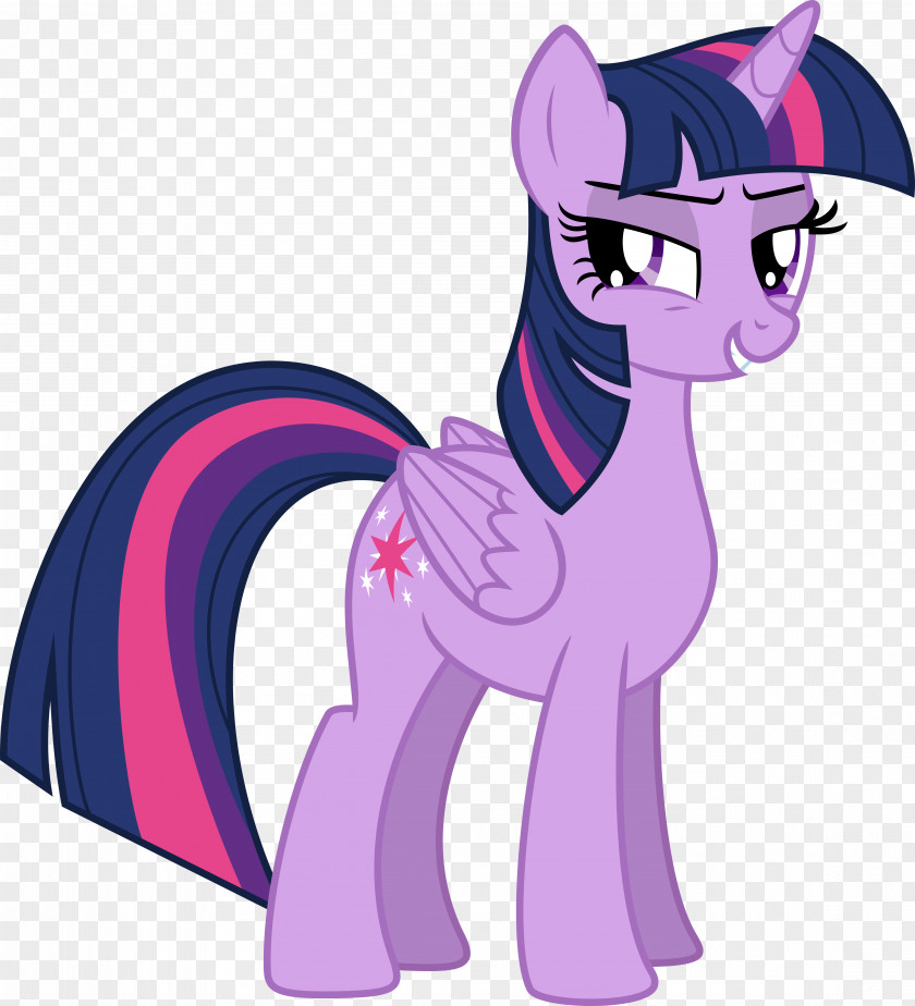 Twilight Sparkle Rarity Pony DeviantArt PNG