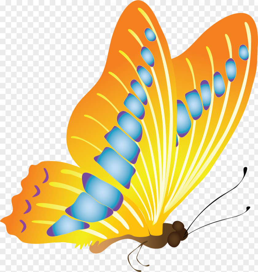 Butterfly Garden Mystery Insect Clip Art PNG