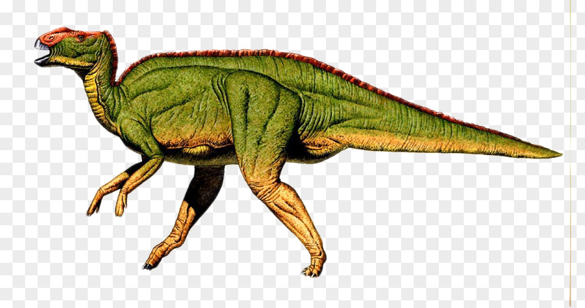 Dinosaur Hadrosaurus Foulkii Leidy Site Academy Of Natural Sciences Drexel University Astrodon Triceratops PNG