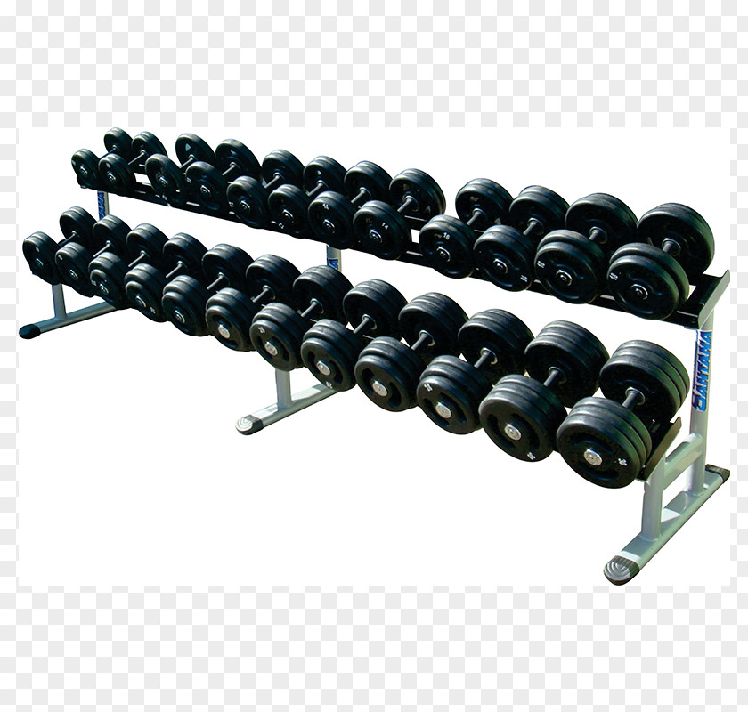 Dumbbell Weight Training CrossFit Physical Fitness Centre PNG