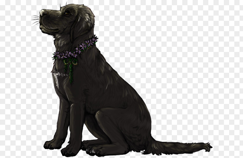 I Want You To Know Labrador Retriever Flat-Coated Dog Breed Companion PNG