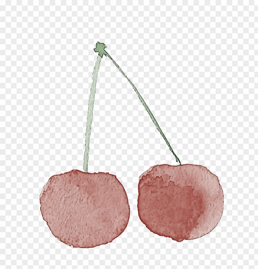 Pink Cherry Plant Drupe Prunus PNG