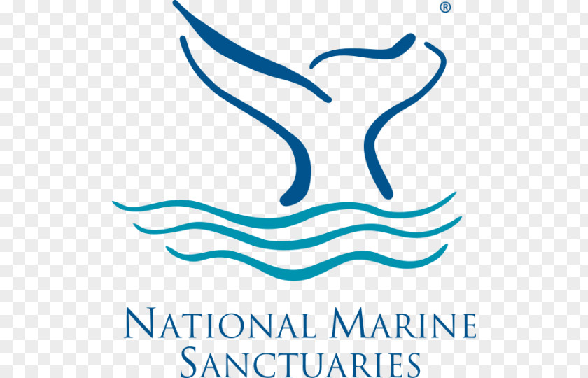Sea Monterey Bay National Marine Sanctuary Stellwagen Bank Of American Samoa Olympic Coast Channel Islands PNG