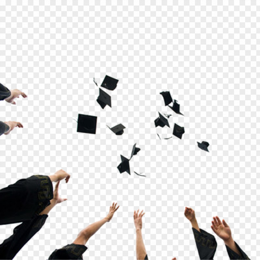 Toss Graduation Cap Ceremony Square Academic Tassel Hat PNG