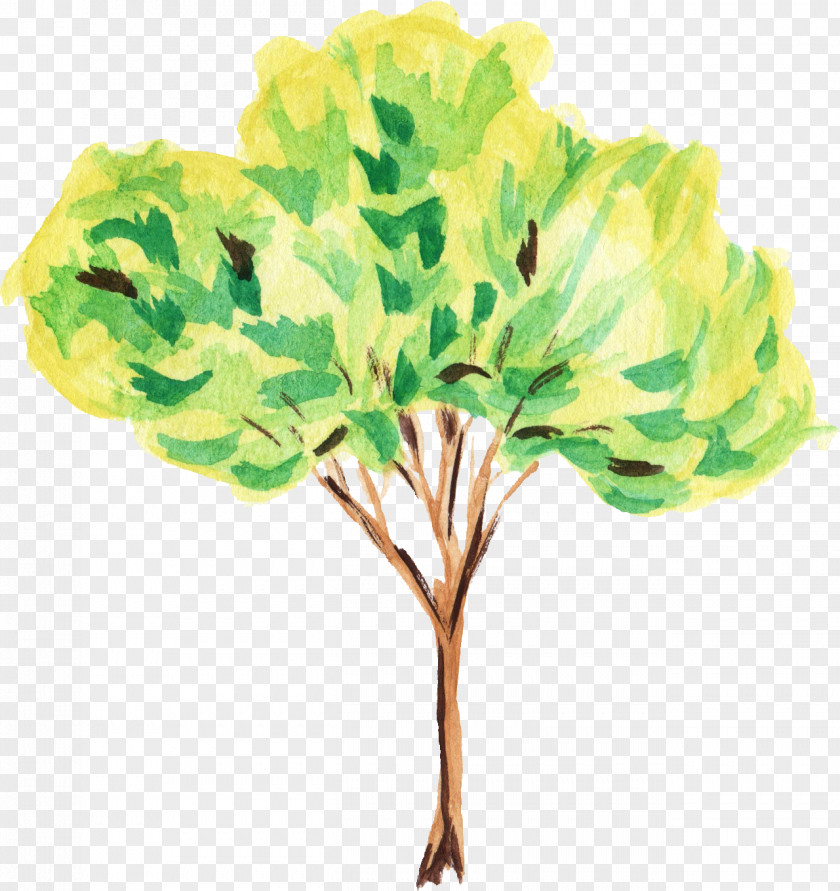 Watercolor Leaves Tree Painting Art Clip PNG