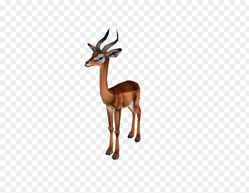 Zoo Tycoon 2 Animal Downloads Impala Gazelle Reindeer Terrestrial PNG
