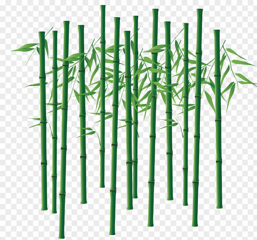 Hand-painted Bamboo Vector Material Bamboe Computer File PNG
