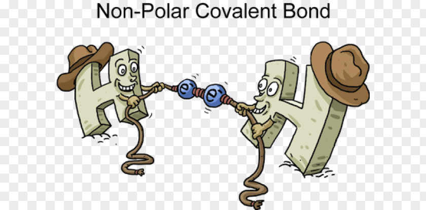 Polar Covalent Bond Chemical Ionic Bonding Polarity PNG