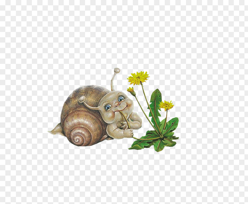 Cute Little Snail Giant African Xc9pinal Animation PNG