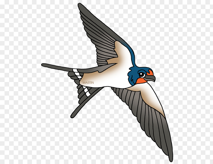 Swallow Cliparts Barn Bird Clip Art PNG