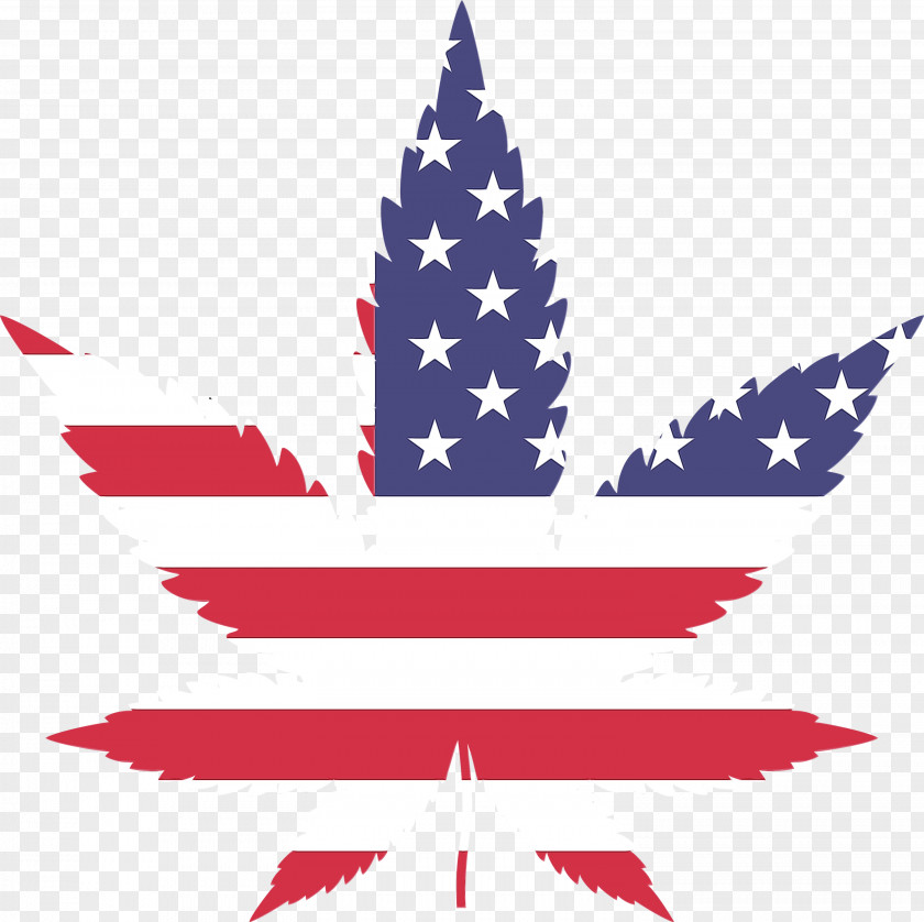 Flag Of The United States Cannabis Industry Legality By U.S. Jurisdiction PNG