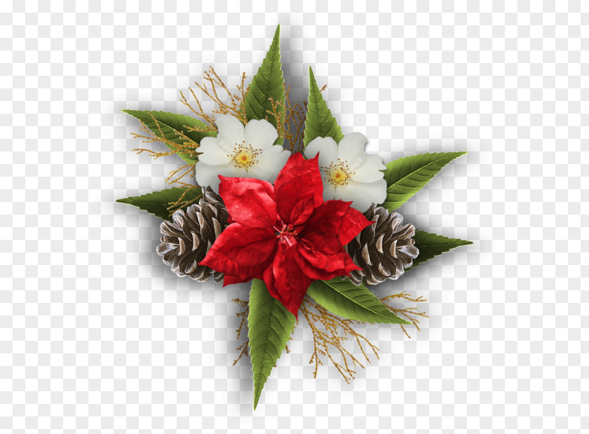 Hibiscus White Pine Cone Decoration Christmas Tree Winter PNG